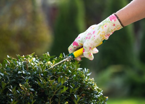Professional landscaper designing a garden