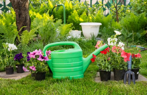 Eco-friendly lawn care practices