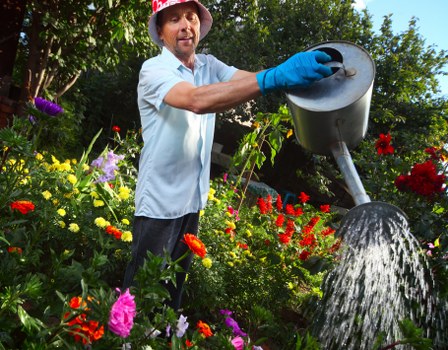 Eco-friendly plant selections for Hampstead garden