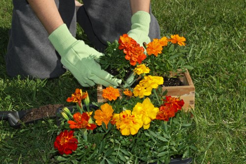Expert garden clearance services
