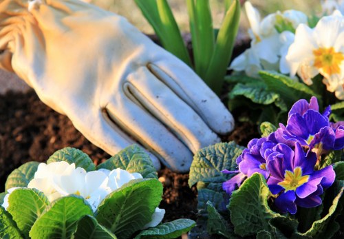 Seasonal garden design elements in Hampstead