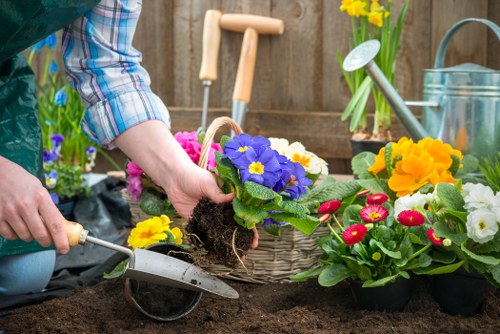 Seasonal planting in a Hampstead garden with diverse flora